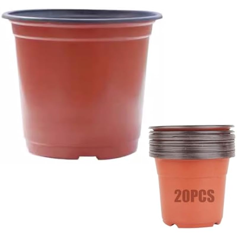 31E4RPm6tBL._AC_US800_ 31e4rpm6tbl. ac us800