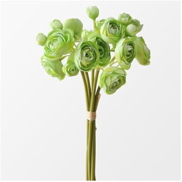 31n67dr8e3l. ac us800