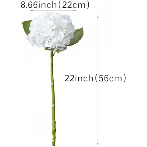 31yenjecmil. ac us800