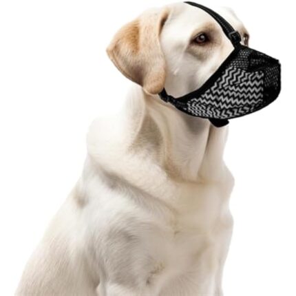 31b6eacfgwl. ac us800 