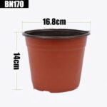 31gdtibcrul. ac us800