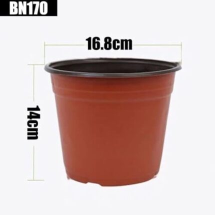 31gdtibcrul. ac us800