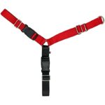 31iqxnnalyl. ac us800