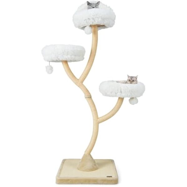 31p3sxpmhql. ac us800