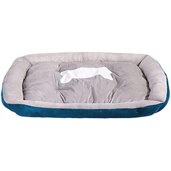 31pvuv brts. ac us800