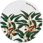 412pems atl. ac us800