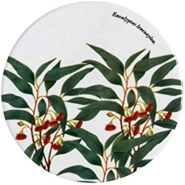 412pems atl. ac us800