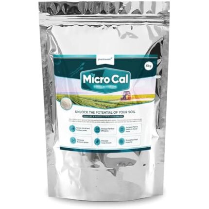 412wtv 5hgl. ac us800