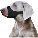 415wd2x5jsl. ac us800