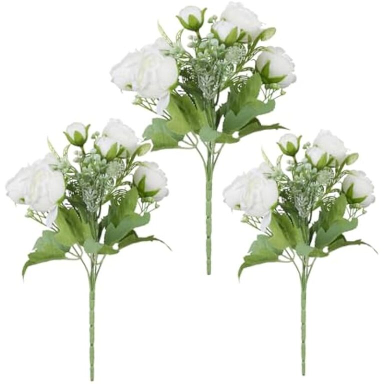 41apibyfzyl. ac us800