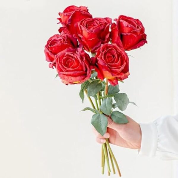 41cftjuizcl. ac us800