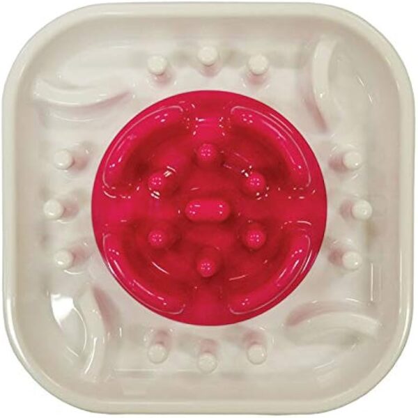 41fpbvebbnl. ac us800