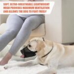 41frbywdbml. ac us800