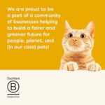 41fw9lttu7l. ac us800