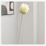 41g1yauitsl. ac us800