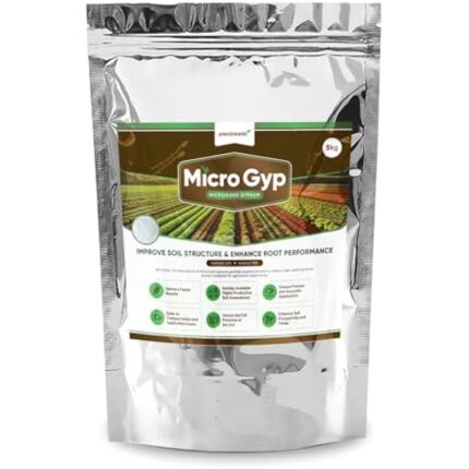 41gs165y rl. ac us800