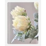 41jeetwmjul. ac us800