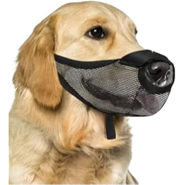 41nrg7dc18l. ac us800