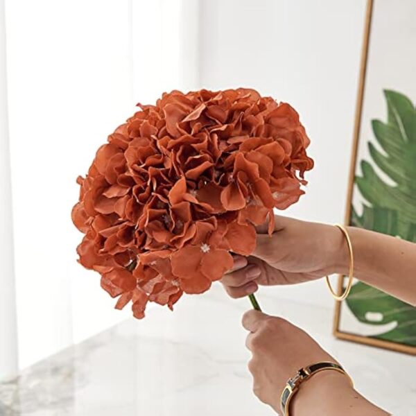 41pgapwwfrl. ac us800