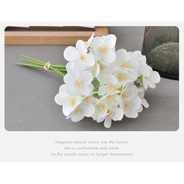 41rp9eorwjl. ac us800