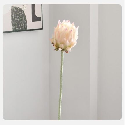 41sce pds4l. ac us800