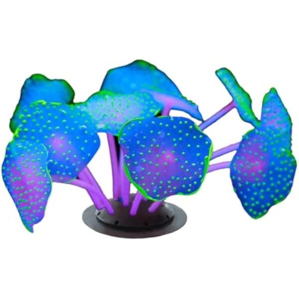 41t4mdmlv9l. ac us800