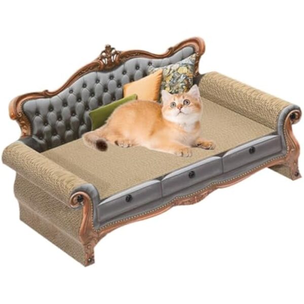 41usnqqi3sl. ac us800