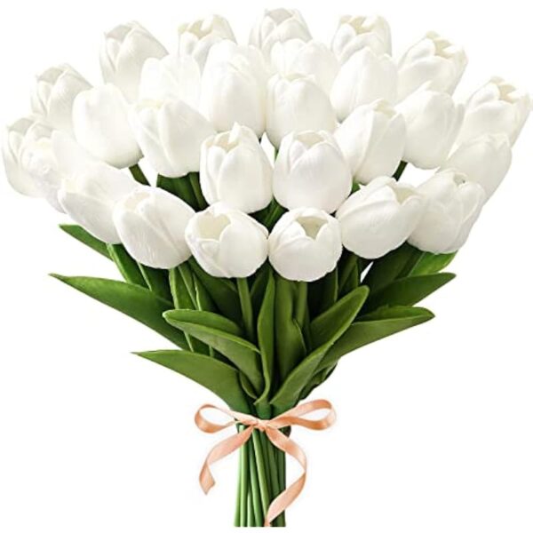 41uwfvcu62l. ac us800