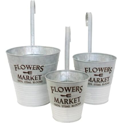 41xaysfrgjl. ac us800