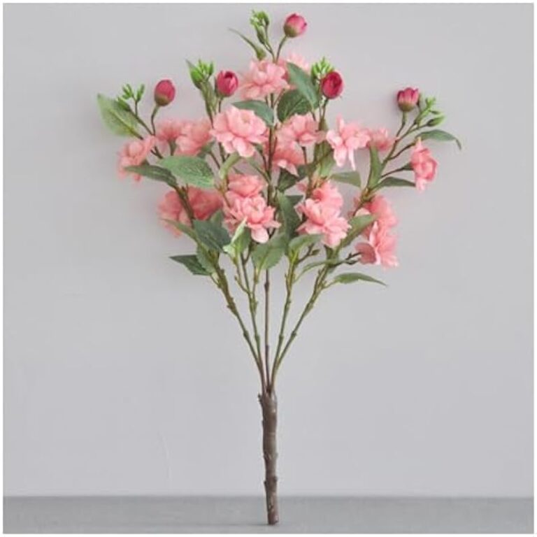 41b8bhsjcul. ac us800