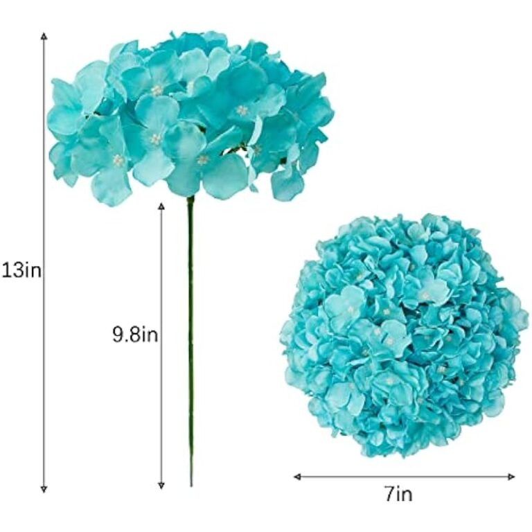 41gvpashgml. ac us800