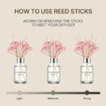 41hc3okuvdl. ac us800