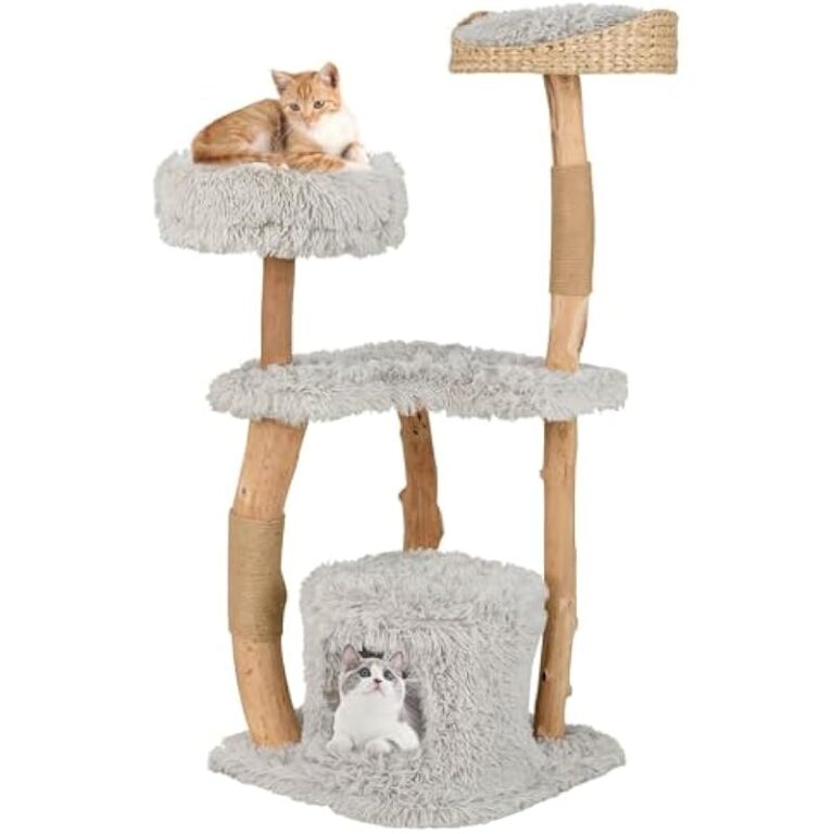 41kkl4e99cl. ac us800