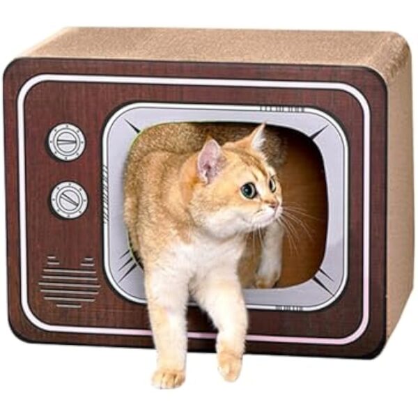 41oyzyjpkol. ac us800