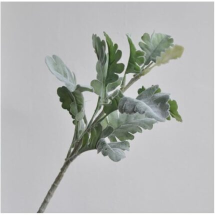 41p8v23fdml. ac us800