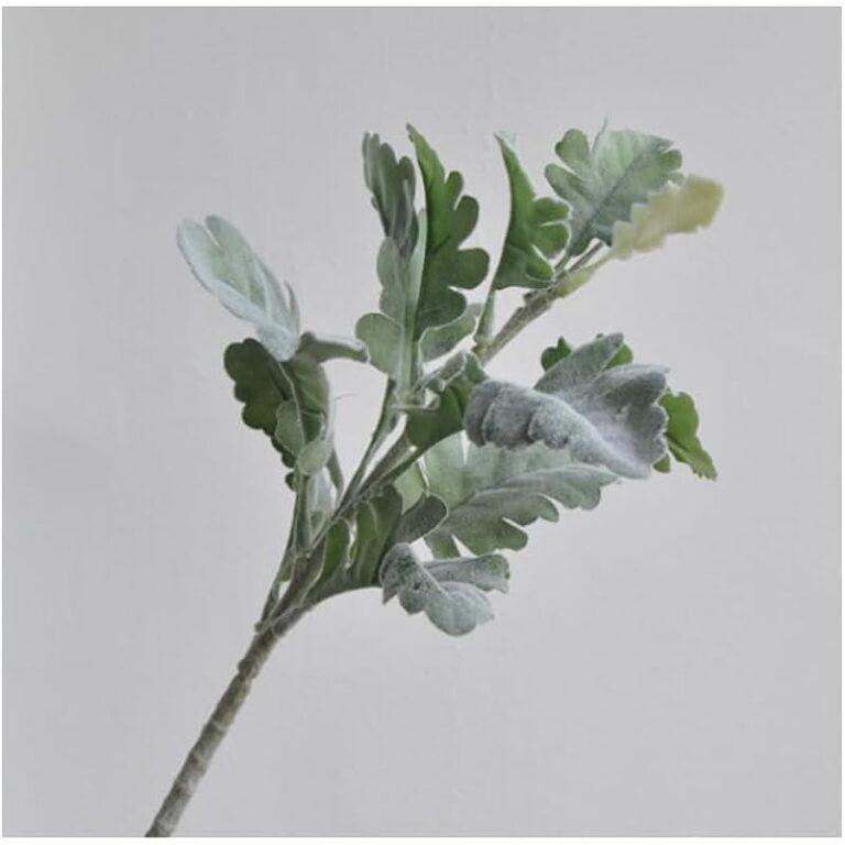 41p8v23fdml. ac us800