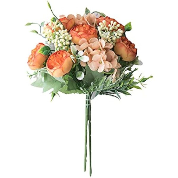 41plu4mqil. ac us800