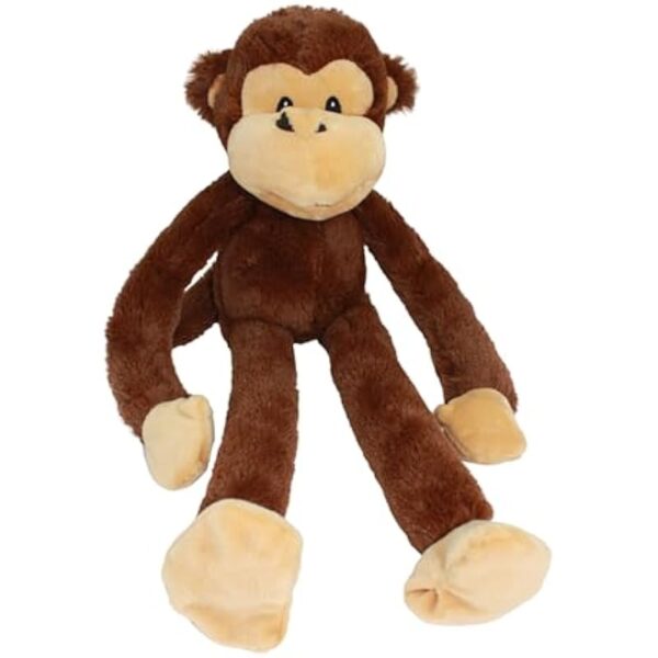 41rqkq4ydl. ac us800