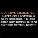 41ryygvjjrl. ac us800