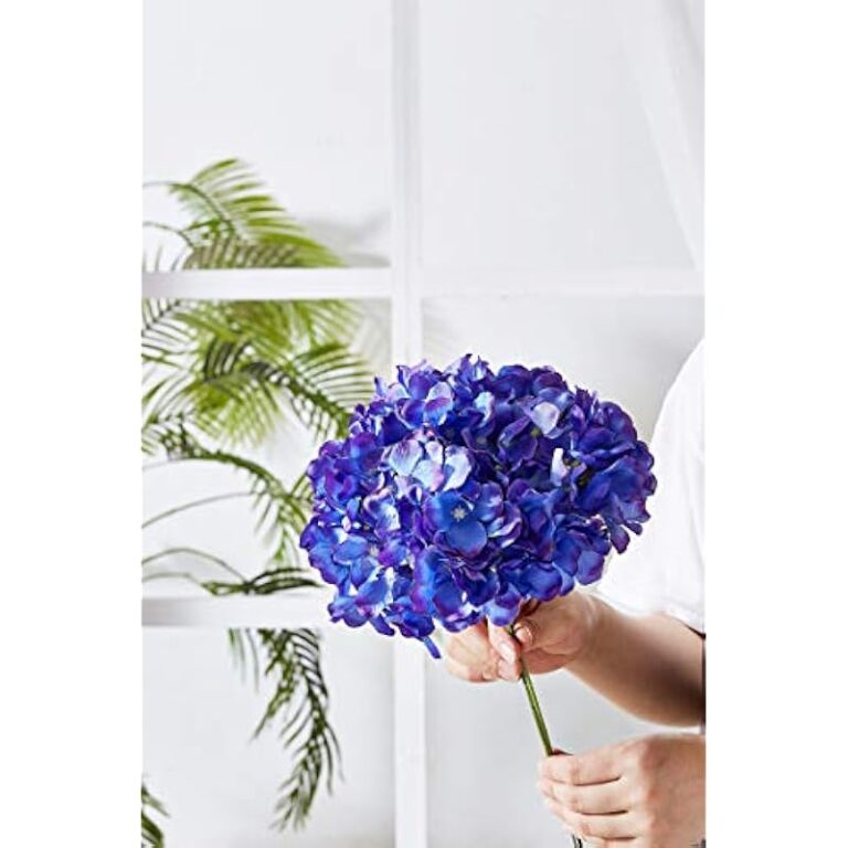 41sbq0wo9al. ac us800