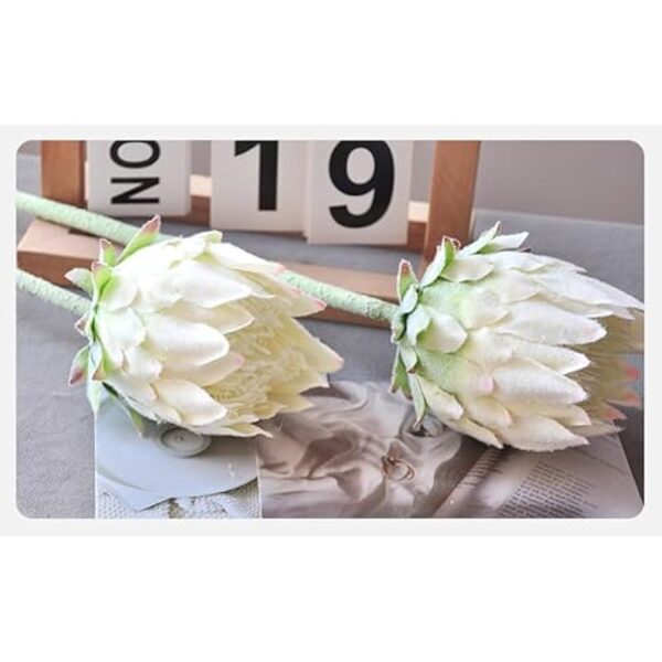 41ulm0ydb8l. ac us800