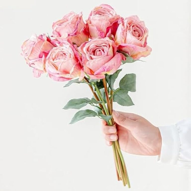 41xdinj9lol. ac us800