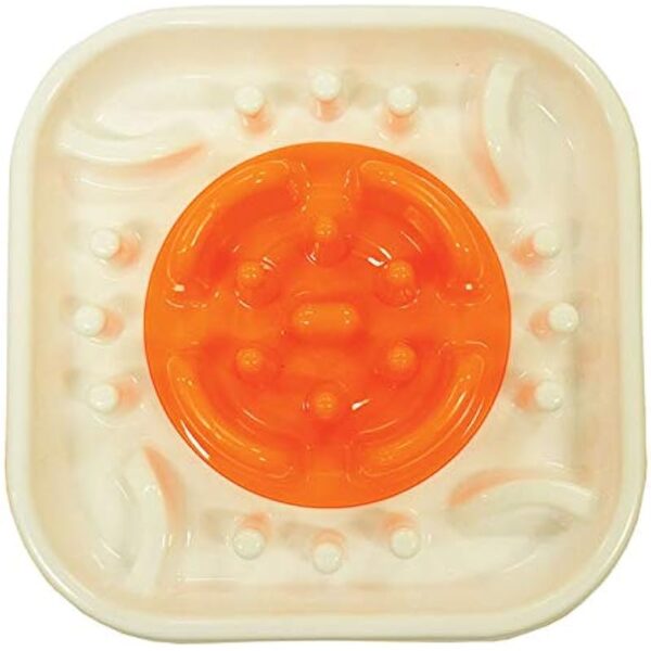 41zsjtjguel. ac us800