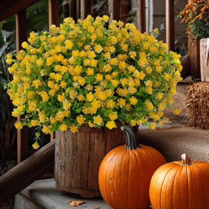 51 xm5ridel. ac us800 