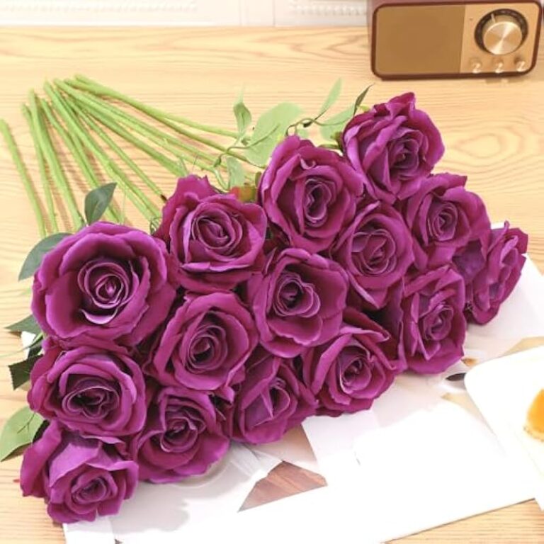 511mqdbhepl. ac us800