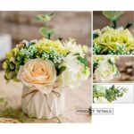 515xryxn6il. ac us800