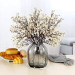 516xcjwynil. ac us800