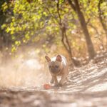 517jwimxf4l. ac us800