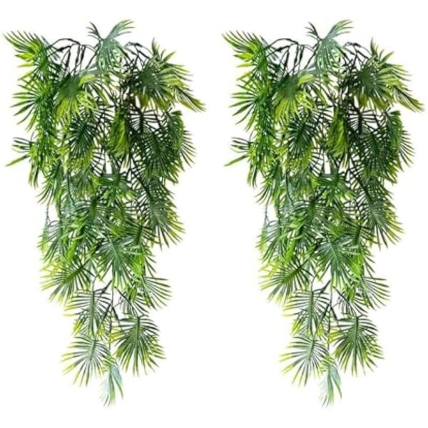 51arsknrz2l. ac us800