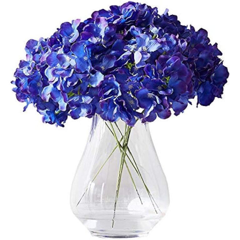 51abjmsp8gl. ac us800